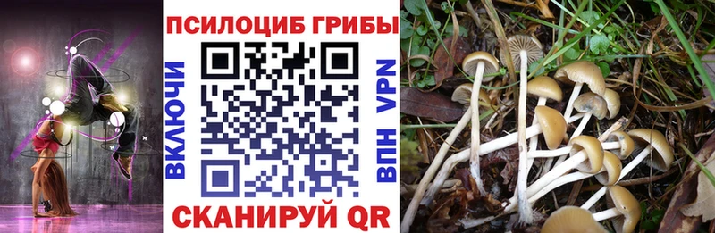 Галлюциногенные грибы GOLDEN TEACHER как найти наркотики Моршанск