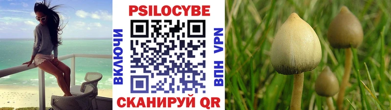 Псилоцибиновые грибы MAGIC MUSHROOMS Моршанск