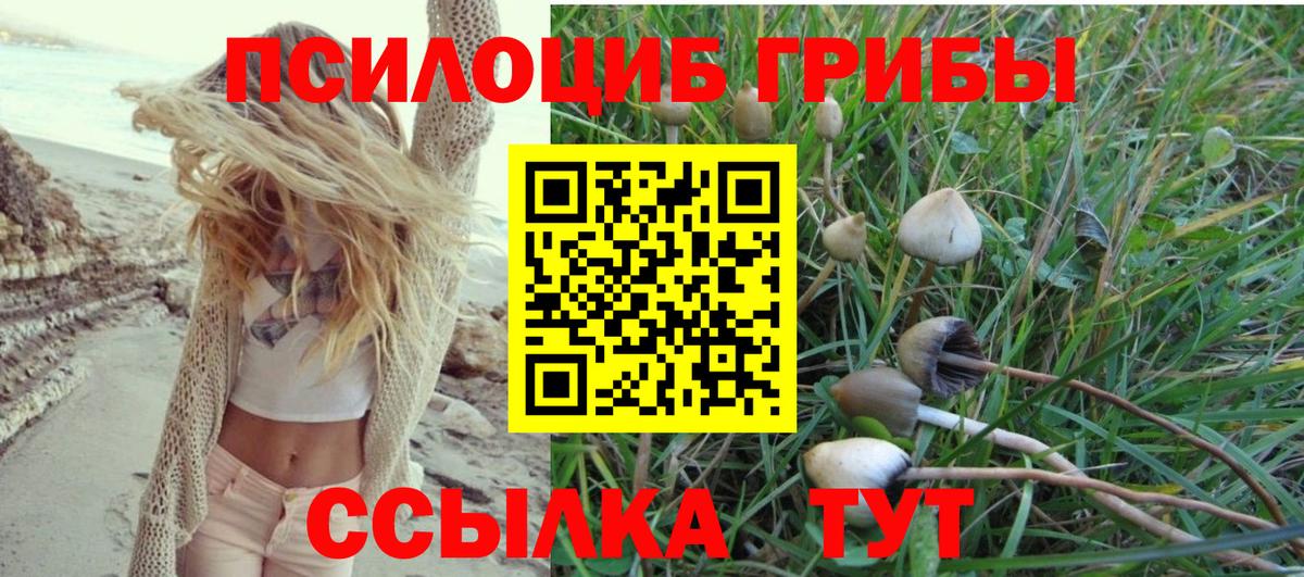Моршанск  Галлюциногенные грибы GOLDEN TEACHER  магазин    Вход с VPN 